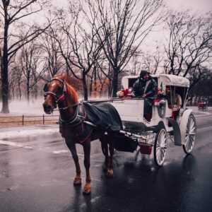 Passeio de Carruagem por Nova York com direito a cobertor nas perninhas
